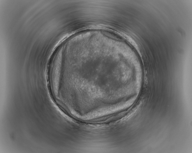 X0000112930997200909211110
