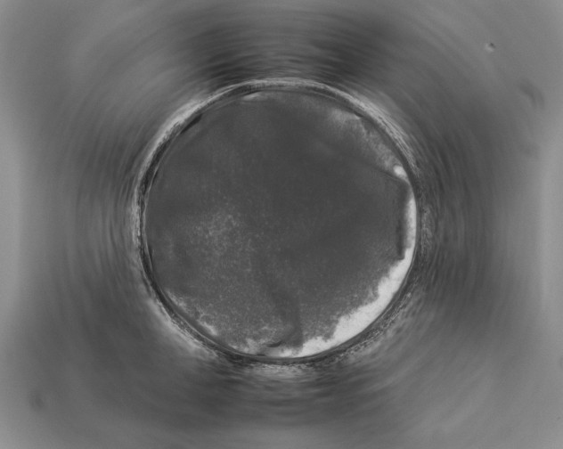 X0000112930998200909211110