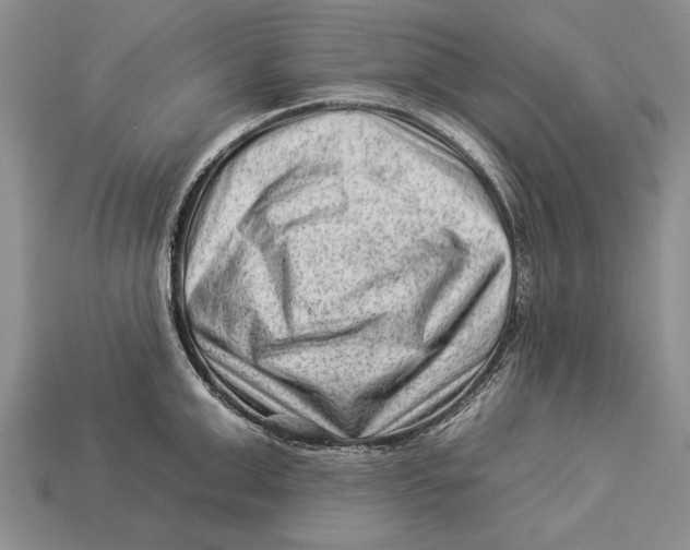 X0000112930999200909211110