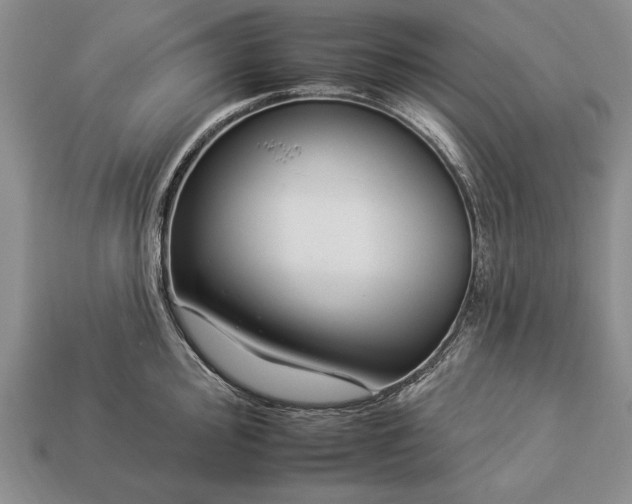 X0000112931000200909211110