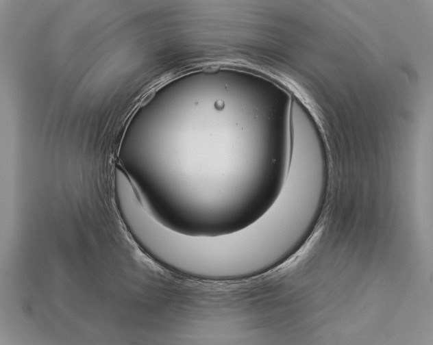 X0000112931001200909211110