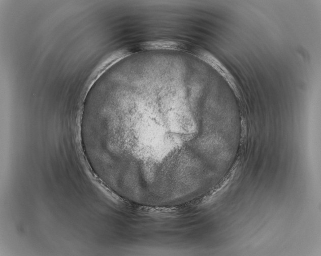 X0000112931002200909211110
