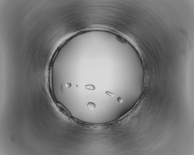 X0000112931003200909211110