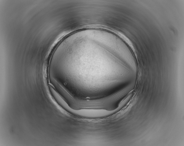 X0000112931005200909211110