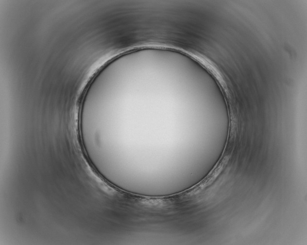 X0000112931006200909211110