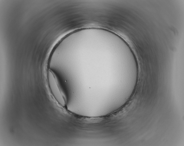 X0000112931008200909211110