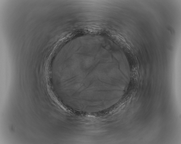 X0000112931009200909211109