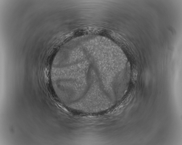X0000112931010200909211109