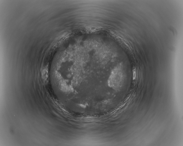 X0000112931011200909211109
