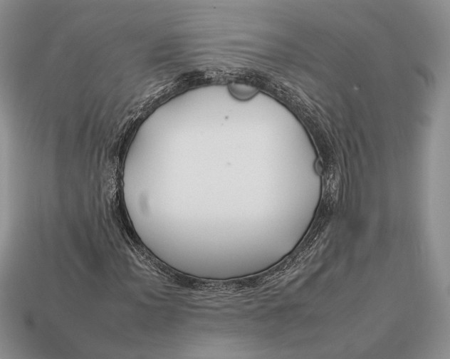 X0000112931012200909211109
