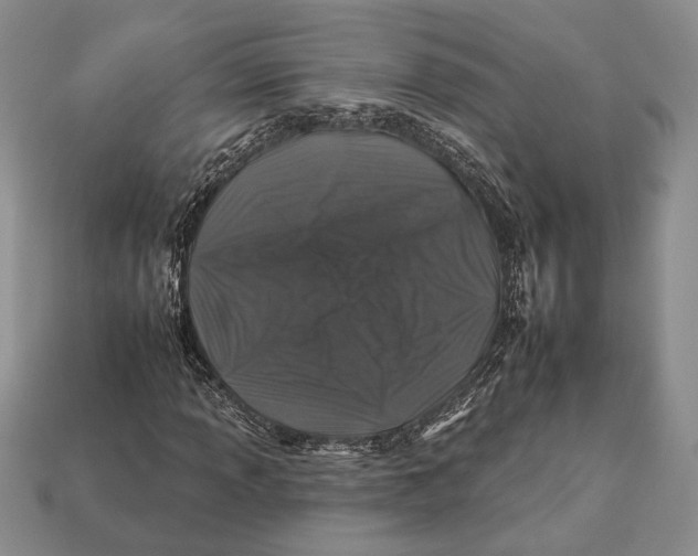 X0000112931013200909211109