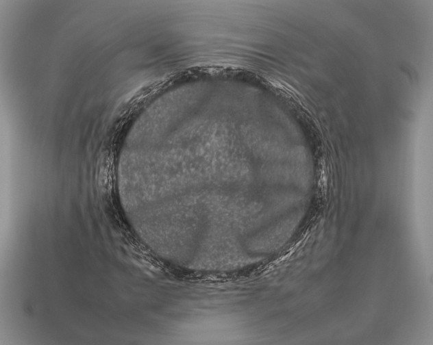 X0000112931014200909211109