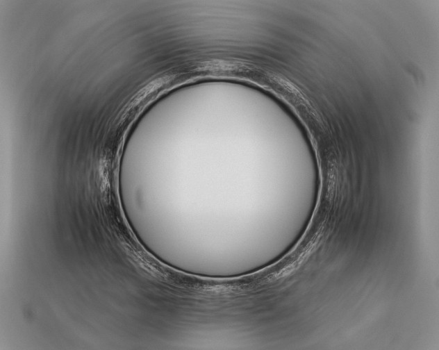X0000112931017200909211109