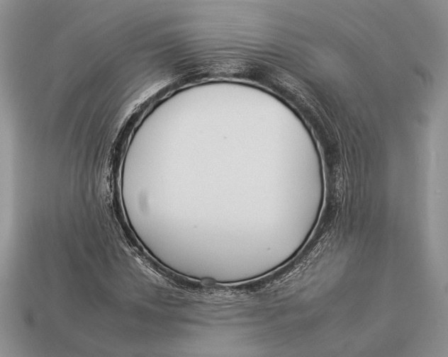 X0000112931018200909211109