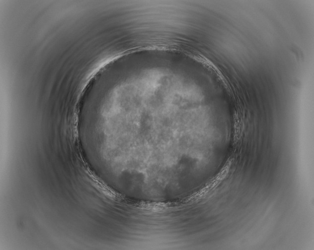 X0000112931019200909211109