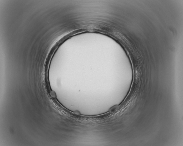 X0000112931020200909211109
