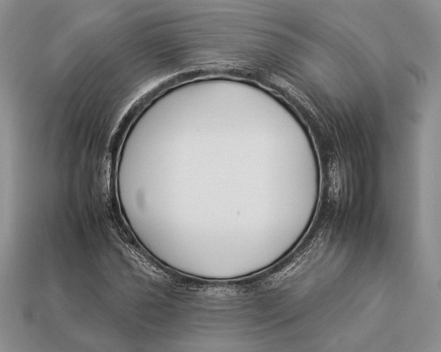 X0000112931021200909211109