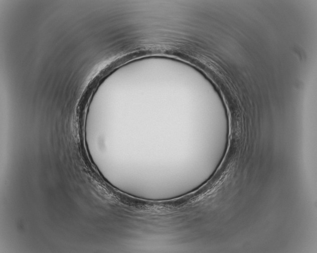 X0000112931022200909211109