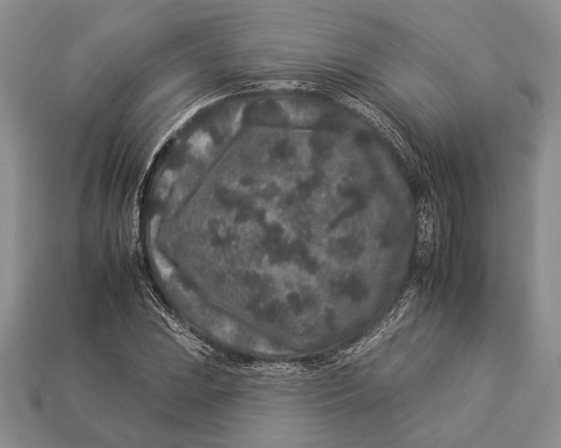 X0000112931023200909211109