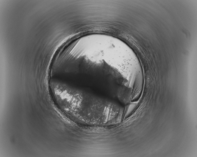 X0000112931024200909211109