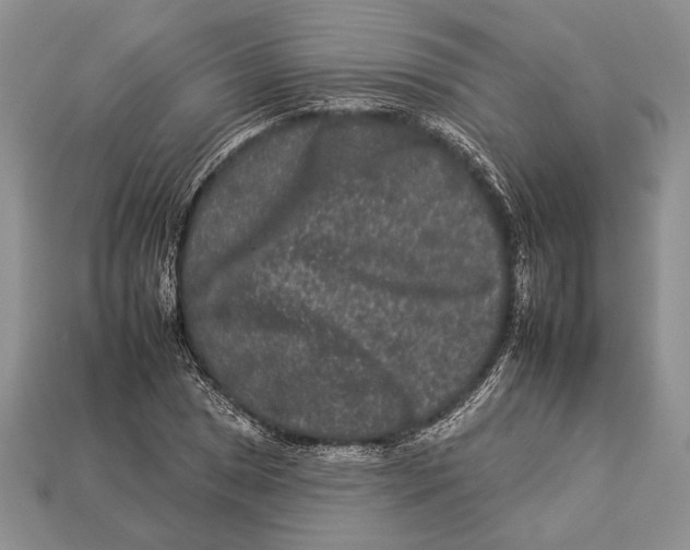 X0000112931025200909211109