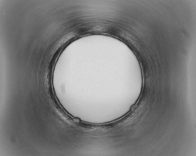 X0000112931026200909211109