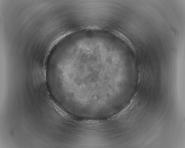 X0000112931027200909211109