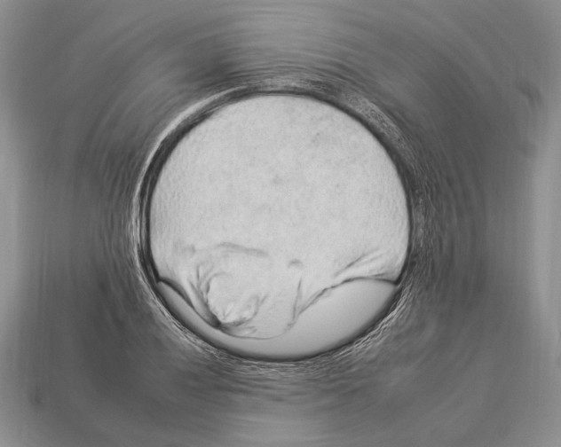 X0000112931028200909211109