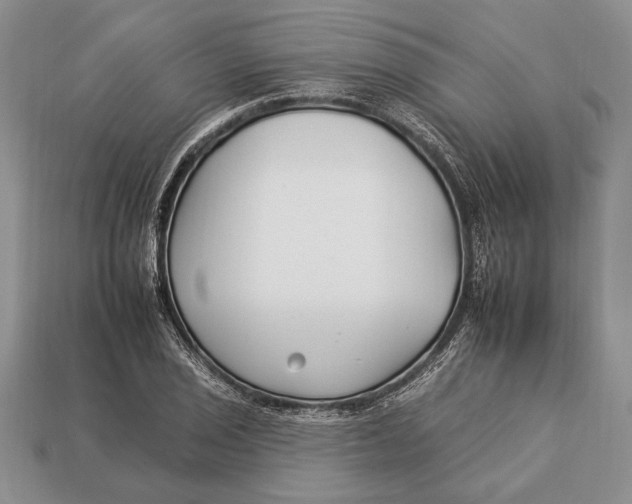 X0000112931029200909211109
