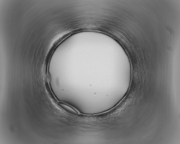 X0000112931030200909211109