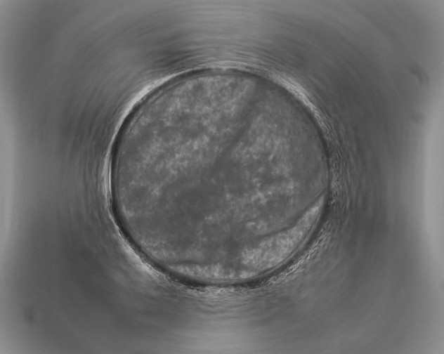 X0000112931032200909211109