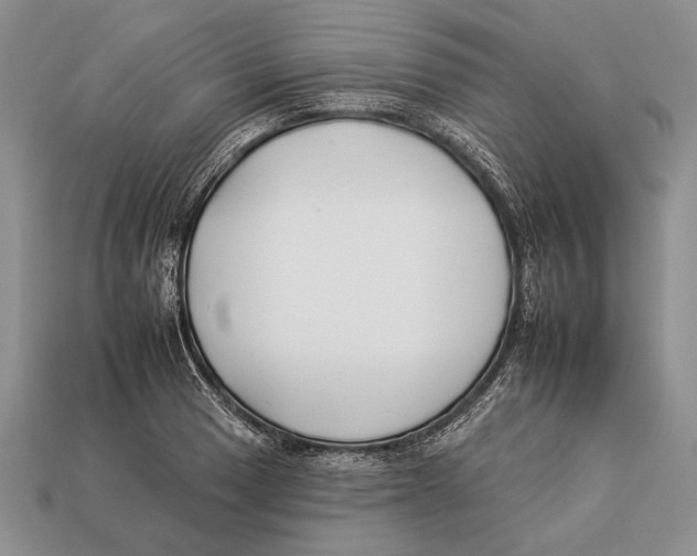 X0000112931033200909211109