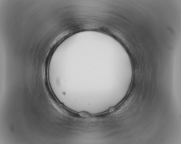 X0000112931034200909211109