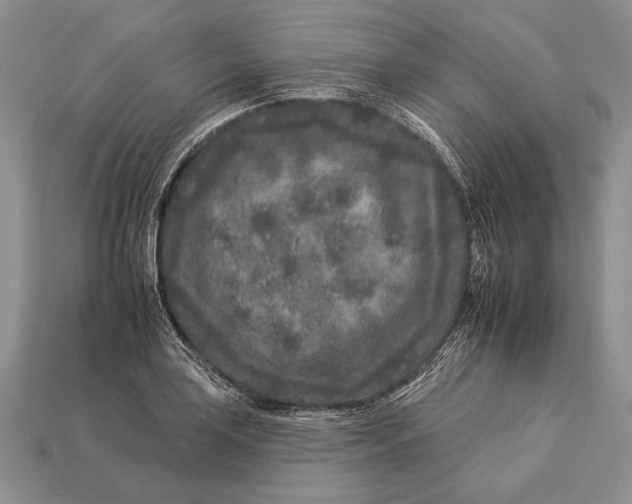 X0000112931035200909211109