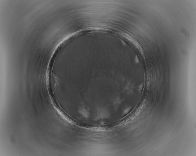 X0000112931037200909211109