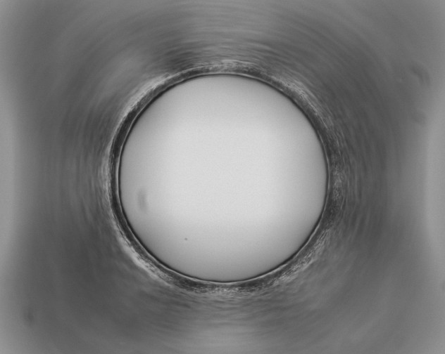 X0000112931038200909211109