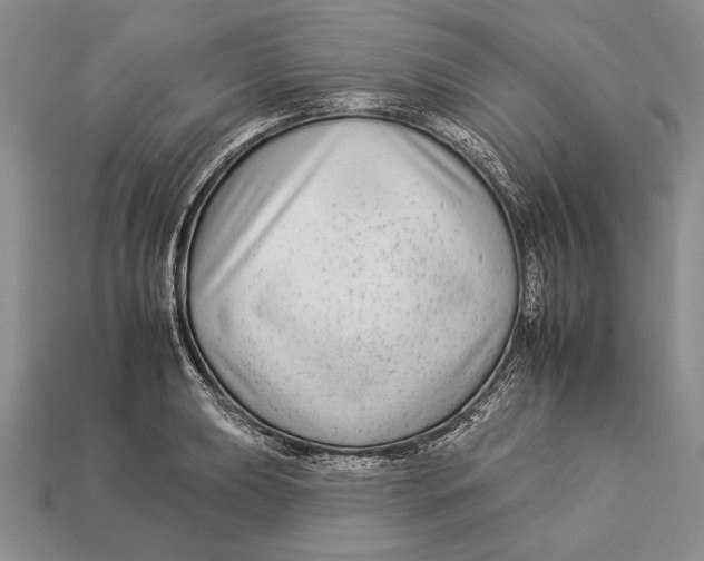 X0000112931039200909211109