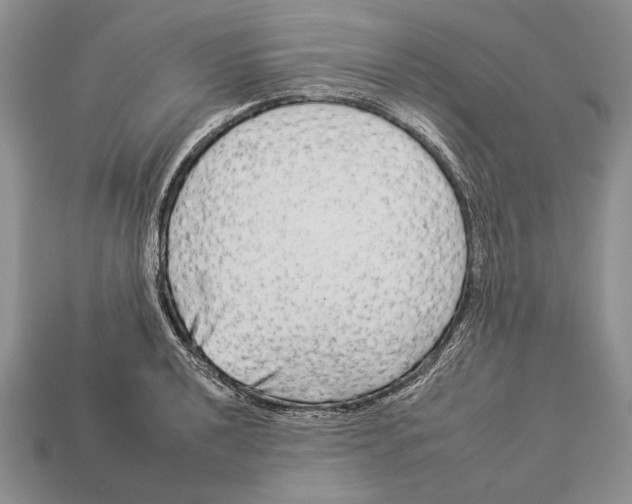 X0000112931040200909211109