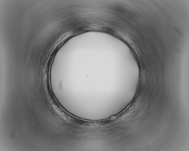 X0000112931042200909211109