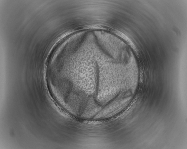 X0000112931043200909211109