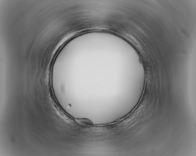 X0000112931044200909211109