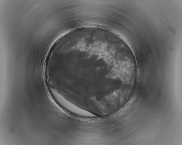 X0000112931045200909211109