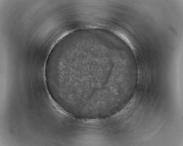 X0000112931047200909211110