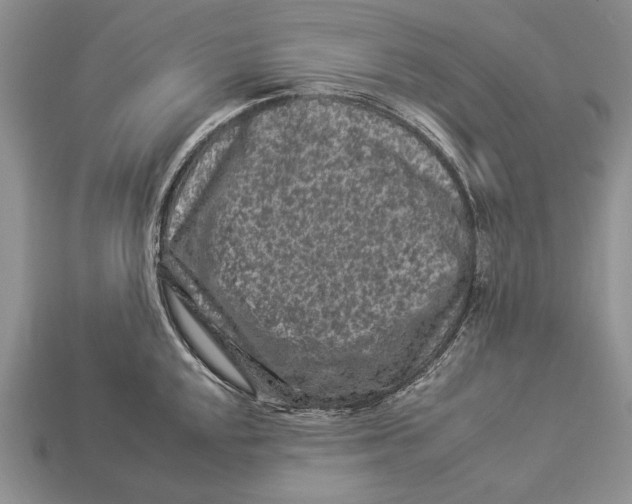 X0000112931048200909211110