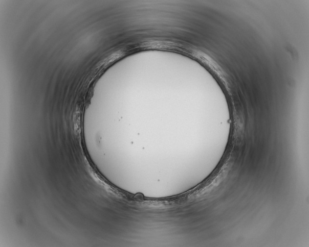 X0000112931049200909211110