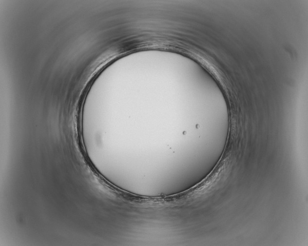 X0000112931050200909211110