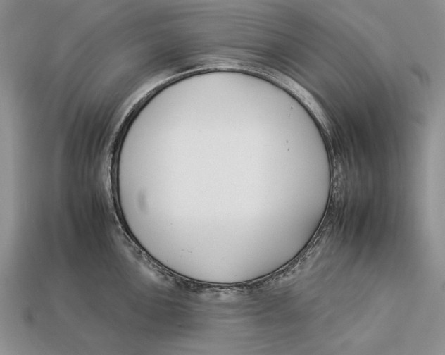 X0000112931051200909211110