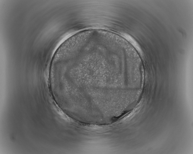 X0000112931052200909211110
