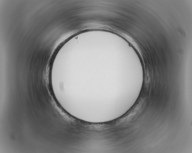 X0000112931053200909211110