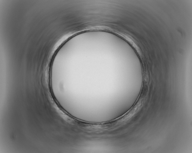 X0000112931054200909211110